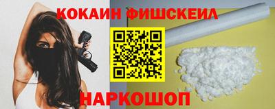 PSILOCYBIN Гатчина