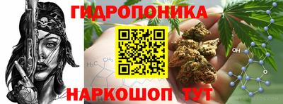 прущая мука Гай