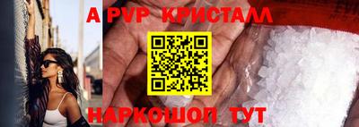 PSILOCYBIN Гатчина