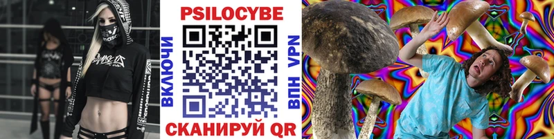 Псилоцибиновые грибы MAGIC MUSHROOMS сколько стоит Севастополь