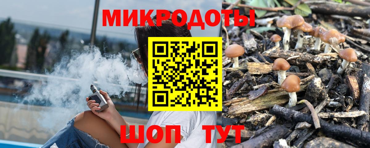 Псилоцибиновые грибы Cubensis  купить наркоту  Севастополь 