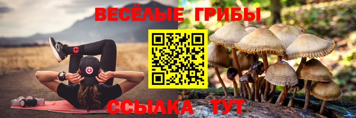 Севастополь  Галлюциногенные грибы мухоморы  Вход с VPN 